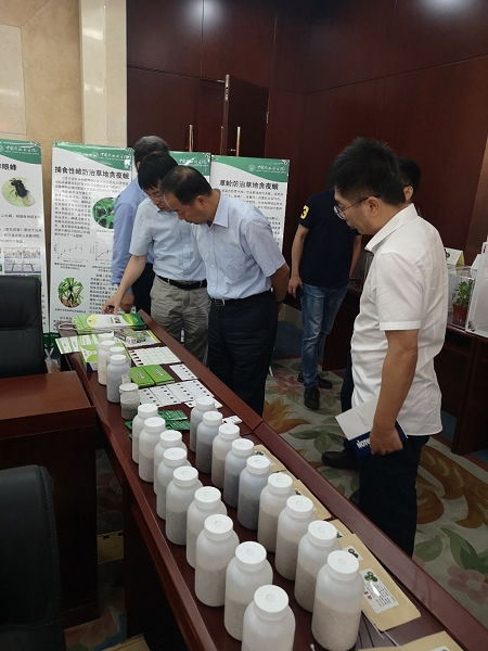 天敵昆蟲防控技術研發(fā)項目通過中期檢查，網絡技術賦能綠色農業(yè)發(fā)展